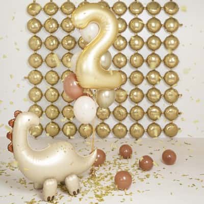 Balon Brontosaurus, slika 2