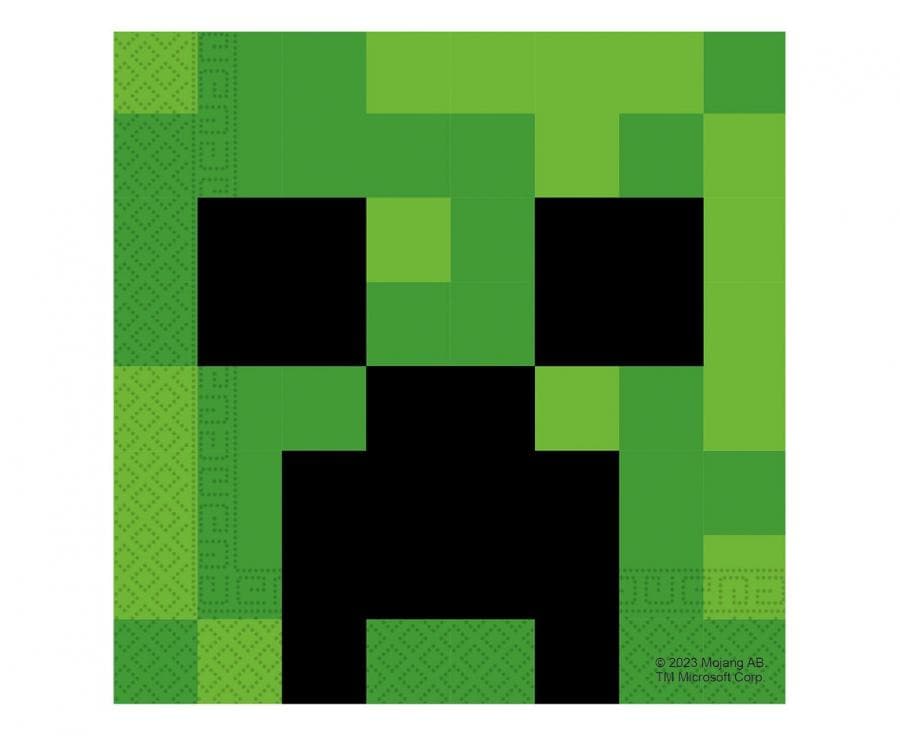 Minecraft salvete 1