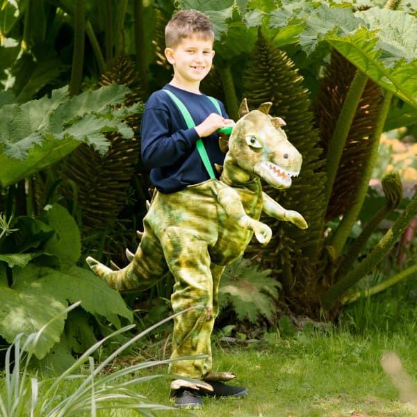 Kostim Dinosaur 3 - 5 godina 1