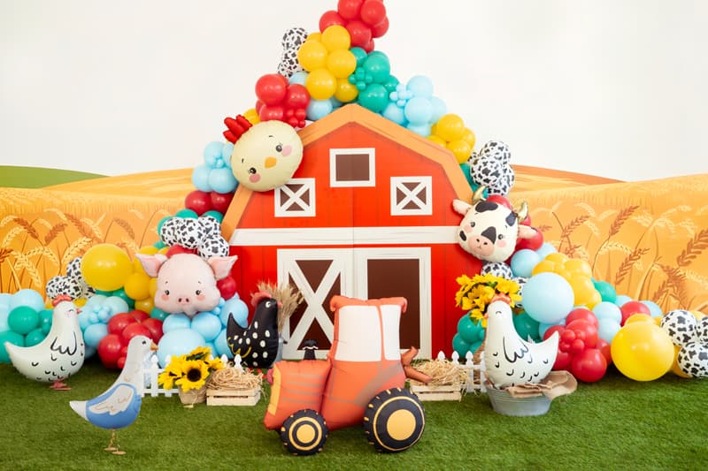 Balon prase 3