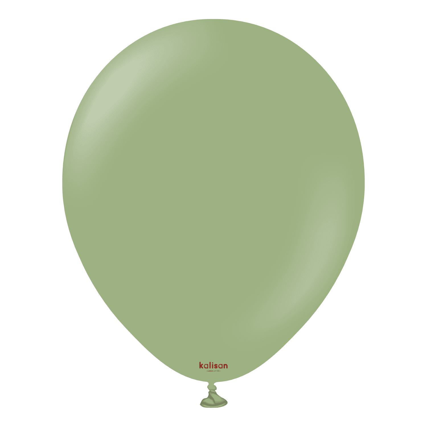 Balon Retro Eucalyptus 12" 1