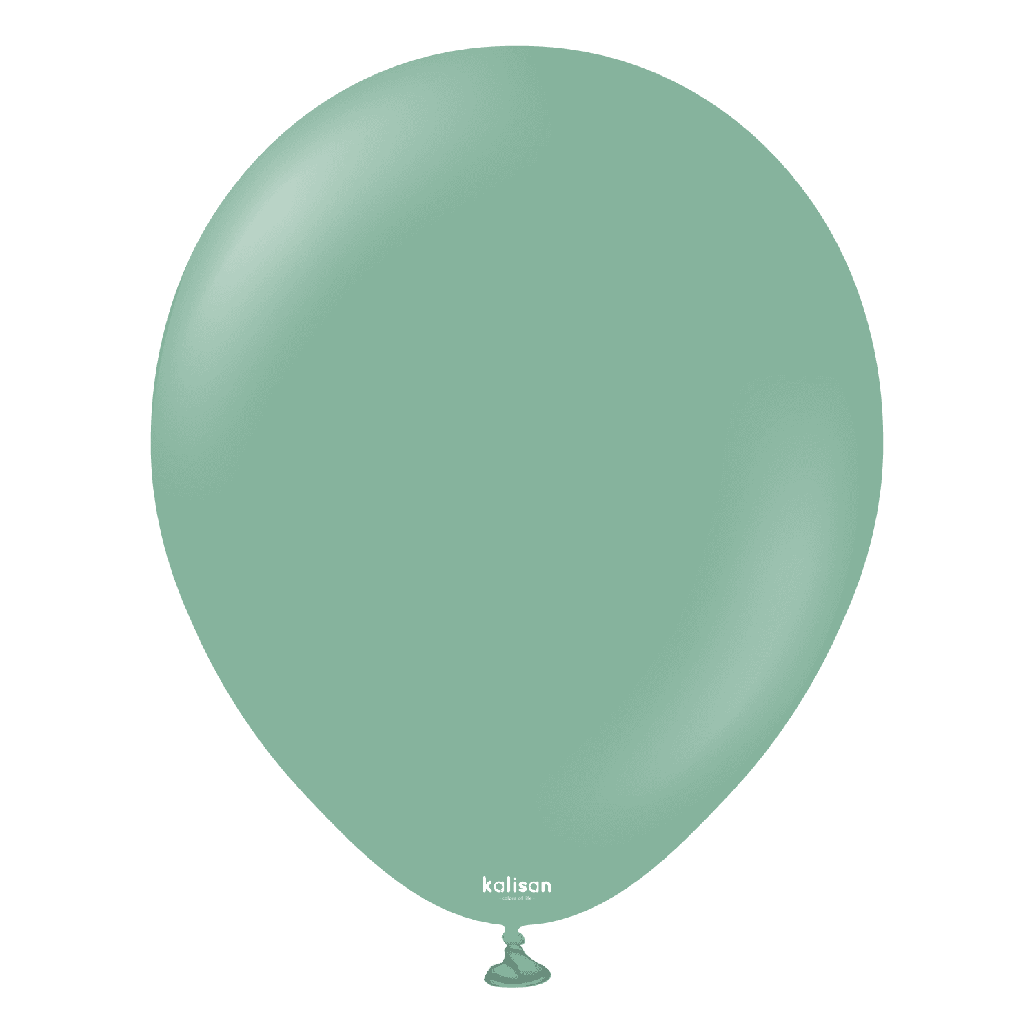 Balon Retro Sage 12" 1