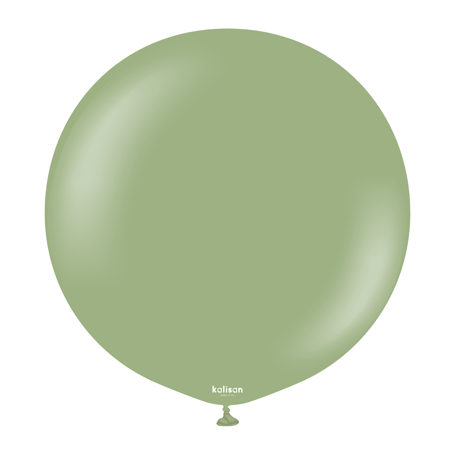 Balon Retro Eucalyptus 18" 1