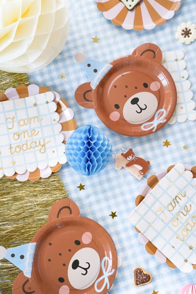Teddy Bear tanjiri 2