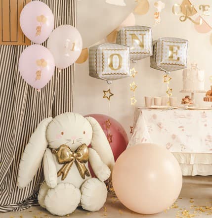 Balon zec 2