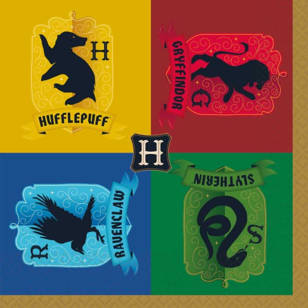 Harry Potter salvete 1