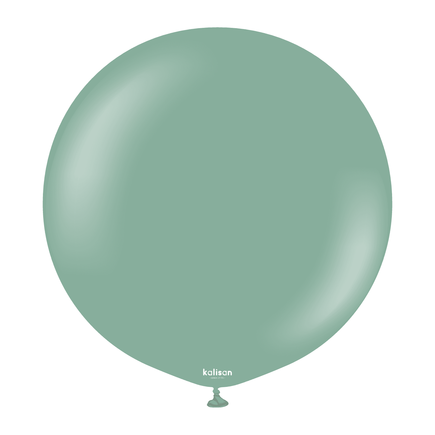 Balon Retro Sage 18" 1