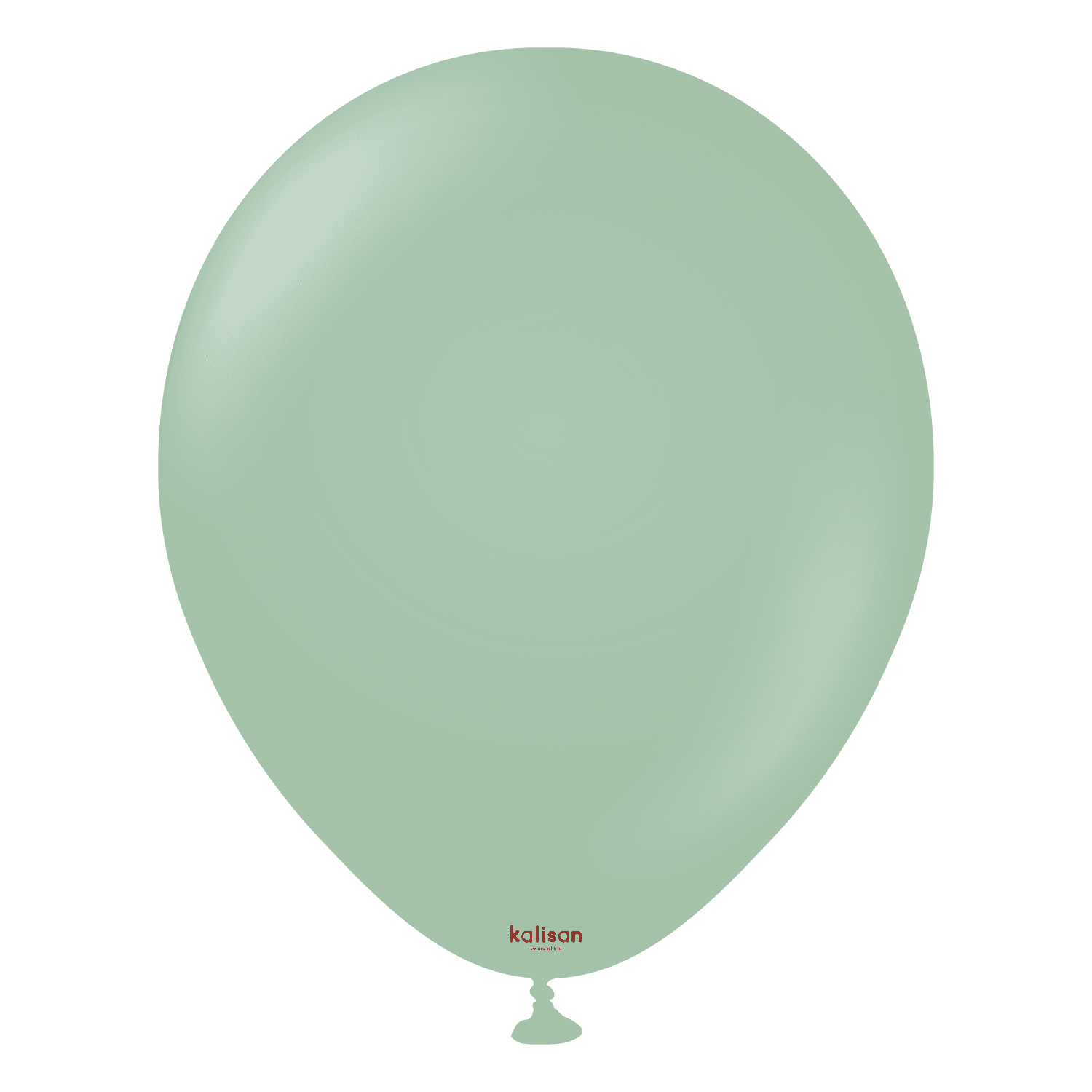 Balon Retro Winter green 12" 1