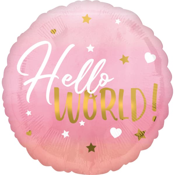 Balon Hello world rozi 1