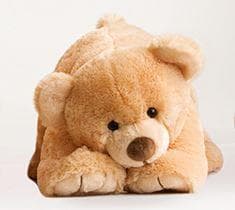 Medo 50cm - Honey 1